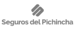 SDP Logo de SDP, cliente de Monkey Plus agencia de marketing digital